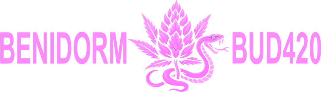 Benidorm Bud420